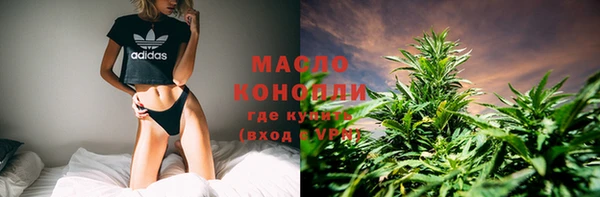 соль ск Новодвинск