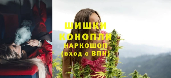 трава Новозыбков
