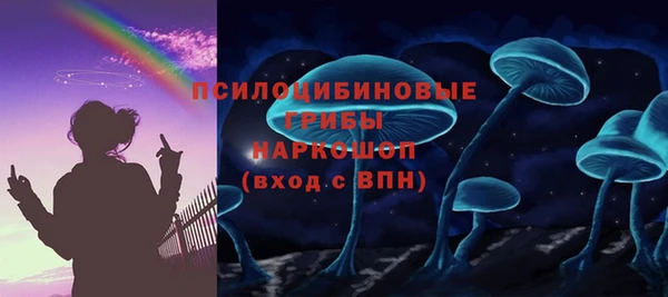 трава Новозыбков