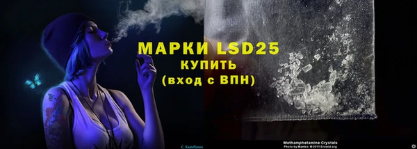 трава Новозыбков