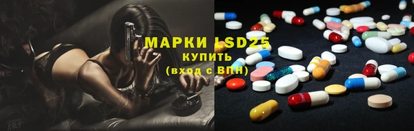 трава Новозыбков