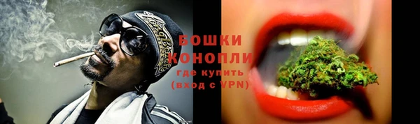 соль ск Новодвинск