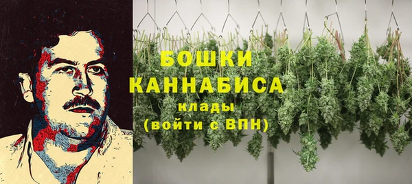 соль ск Новодвинск