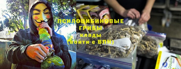 ГАЛЛЮЦИНОГЕННЫЕ ГРИБЫ Новокубанск