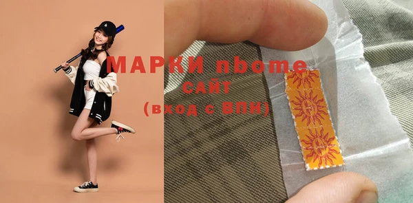 соль ск Новодвинск