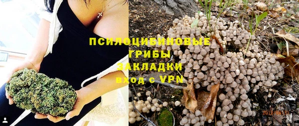 трава Новозыбков
