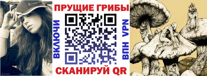 Галлюциногенные грибы мухоморы  Тейково 