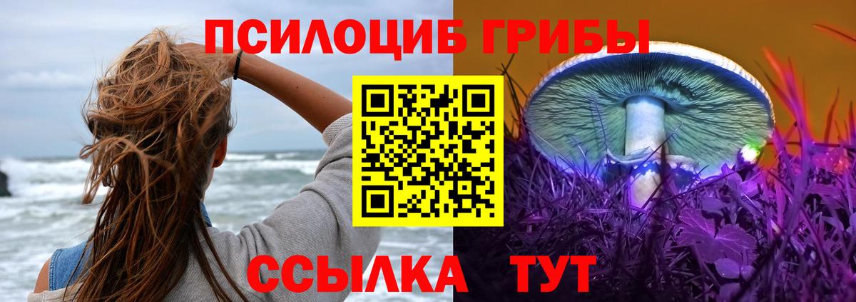 Псилоцибиновые грибы GOLDEN TEACHER  Псилоцибиновые грибы мицелий  Тейково  Вход с VPN 