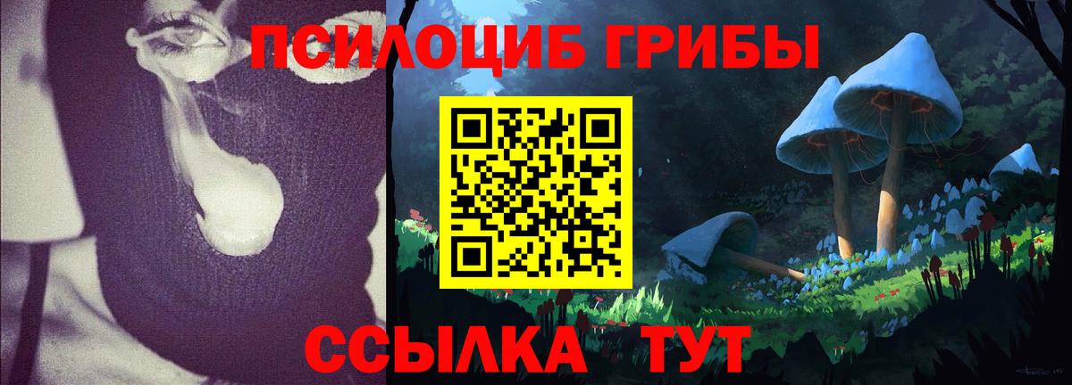 Галлюциногенные грибы Cubensis Тейково